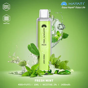 Fresh Mint Hayati Pro Max 4k Puffs